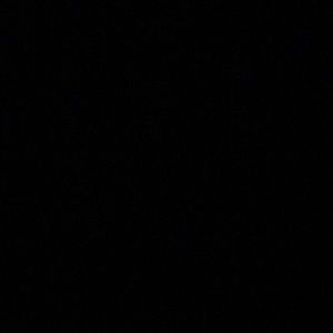 Meet your Posher, Bella